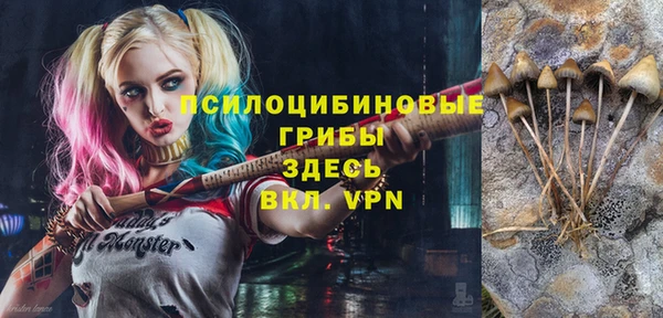 гашик Абдулино